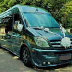 mb party bus