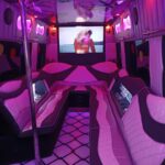 Pink party bus 2