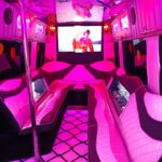 Pink party bus 4